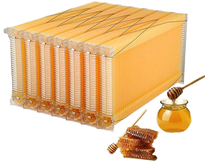 Nuevo Juego de 7 Marcos de Colmena de Flujo Automático de Miel, Equipo de Apicultura, Herramienta de Apicultura, Garantía de <span class=keywords><strong>1</strong></span> Año, Flujo Automático de Miel - Product Image 1