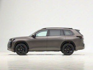 Modelo 2025 para Pro 450TSI 4WD Automático Turbo Nuevo Volante a la Izquierda Euro VI Gasolina/Petróleo Asientos Oscuros Portaequipajes Metálico - Product Image 5