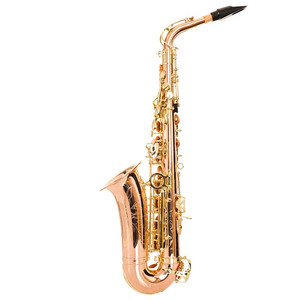 Saxophone alto en Mi bémol avec laque dorée, double embouchures, tonalité EB réglable, configuration en laiton SKL-210 - Product Image 4