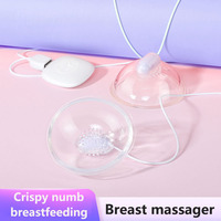Vibrateur Puissant pour Poitrine, Tétine d'Aspiration et Léchage, Pompe à Seins Féminine, Massage des Seins, Jouets Sexuels pour Femme