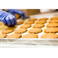 Machine automatique de fabrication de petits macarons, biscuits et gâteaux, avec extrudeuse décoratrice, découpeuse et déposeur de garniture