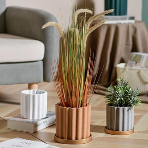 <strong>Pot</strong> Plants - Product Image 3