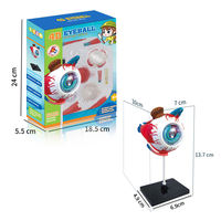 Kit de Juguete de Modelo Educativo de Anatomía de Órganos Humanos Modelo de Aprendizaje de Estructura del Ojo 4D Juguete DIY de Globo Ocular Modelo de Enseñanza para Niños