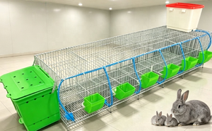 Cage à lapins robuste à 12 compartiments, cage verticale pour l'élevage et l'engraissement, design peu encombrant pour les petites exploitations - Product Image 5