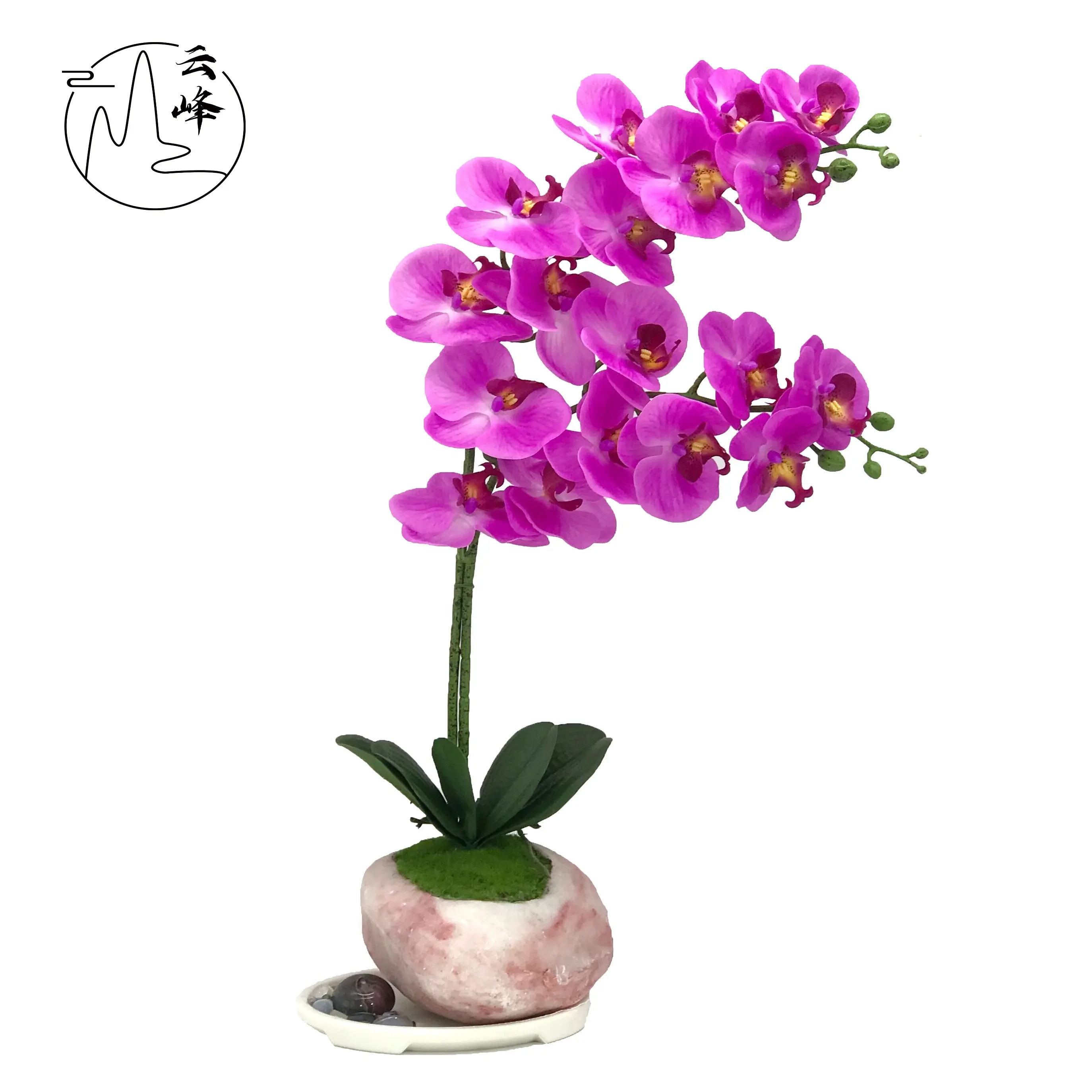 Indoor Decor Resin Orchid Bonsai Artificial Phalaenopsis Flower Bonsai Flowers Potted For Holiday Decoration