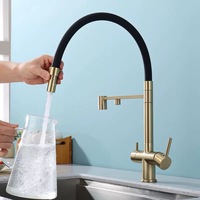 304 acier inoxydable chaud froid robinet d'eau potable double moderne noir Silicone tuyau évier de cuisine trois-en-un robinet Flexible