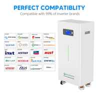 Batterie au lithium solaire 15 kWh 16 kWh 51,2 V 300 Ah 314 Ah pour système solaire domestique 48 V – Station de stockage d'énergie