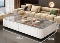 Ensemble de Meubles Modernes en Bois Simple de Luxe, Meuble TV Portable, Table Basse en Ardoise Claire pour Salon Maison et Petits Appartements