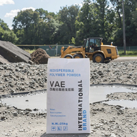 Prix de gros Poudre de polymère redispersible RDP Additifs Poudre d'imperméabilisation du ciment pour le mortier de plâtre