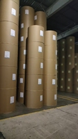 Bobines de papier sans bois IP Sun 60 g/m²
