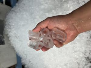 Máquina de Hielo en Tubo Comercial de 1, 2, 3 y 5 Toneladas, 300 kg, 200 kg, 500 kg para Negocios - Product Image 5