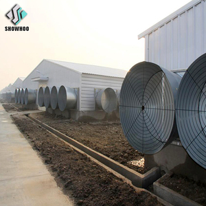 Cấu trúc gia cầm tự động thiết kế nhà tự động gia cầm trang trại đổ xây dựng prefab thép mới cung cấp chuồng gà 5 năm - Product Image 3