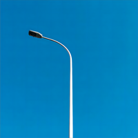 Poste de lámpara octogonal para exteriores, 6m, 7m, 8m, 9m, 10m, 12m, doble brazo, precio de acero galvanizado, Solar poste de luz de calle, poste de lámpara