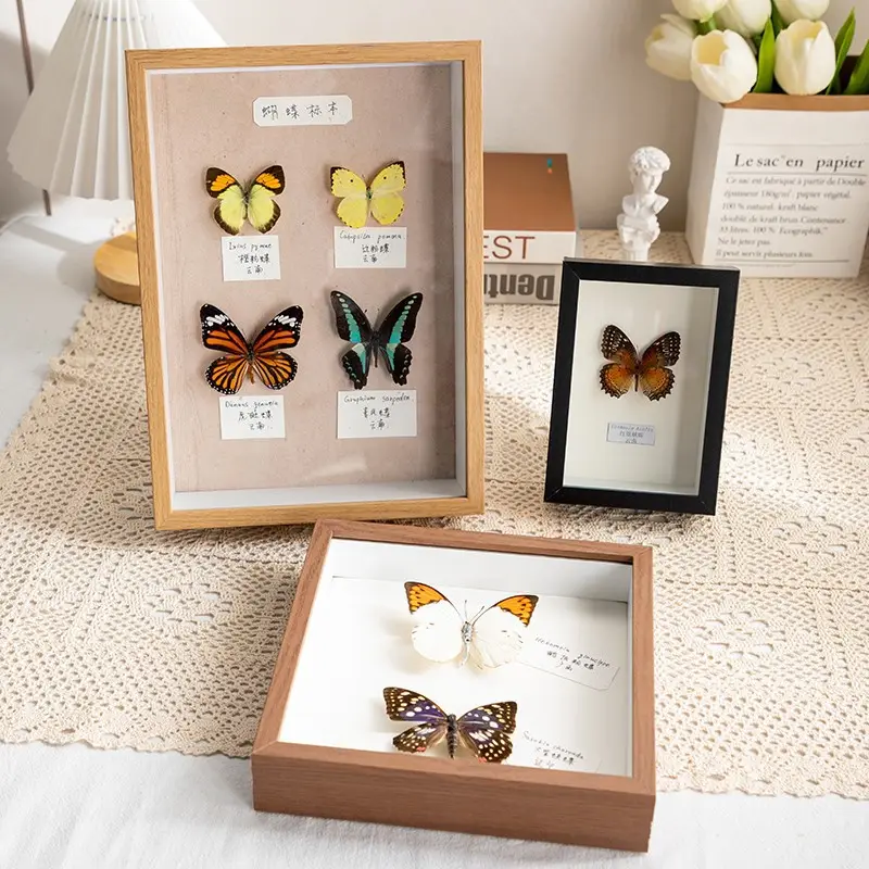 Hollow tường treo DIY bướm sâu hình ảnh gỗ hộp bóng hộp 3D nổi khung
