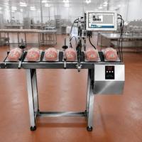 Machine de codage automatique par lots, imprimante jet d'encre éco-solvant TIJ 12,7 mm, scanner de codes-barres DataMatrix, imprimante d'étiquettes pour œufs
