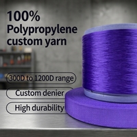 Hilo FDY de Polipropileno 100% Hueco Personalizable en Color, con Técnicas OE, 1200D Denier, para Tejido a Mano, Alta Tenacidad