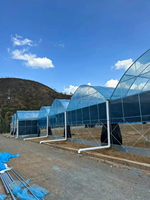 Serre agricole personnalisée de grande taille à bas prix Serre hydroponique à film plastique multi-span à vendre