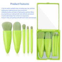‌Set de 5 Mini Brosses de Maquillage Multifonctions - Pinceaux Fond de Teint & Ombre à Paupières Voyage avec Miroir