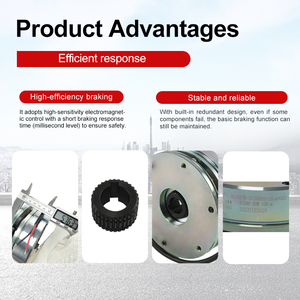 Ensemble de frein de chariot élévateur PTB20-C Noblelift <span class=keywords><strong>RXD</strong></span> BLC457K-10 (frein de sécurité 24V 400Nm) - Product Image 6