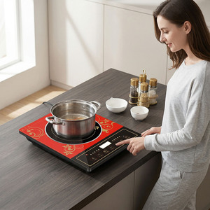 Cuisinière à induction Wok commerciale 3500W 5000W, acier inoxydable robuste, grande capacité, chauffage rapide - Product Image 2