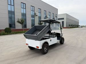 Camion électrique de qualité supérieure, UTV 2 places, chariot de golf avec benne de chargement, benne basculante automatique, capacité de charge de 500 kg, camion de transport électrique - Product Image 1