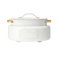 Cuisinière Électrique Multifonction Détachable, Programmable Numérique, avec Cuve Antiadhésive, Contrôle de Température et de la Durée, pour Cuisson à la Vapeur, Braisage, Simmulation de Cuisson, et Cuisson du Riz, Verre Trempé