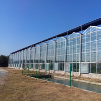 Systèmes de serres personnalisables de grande taille et haute performance pour l'agriculture moderne, solutions complètes