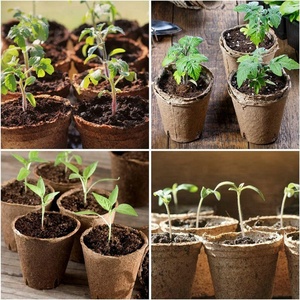 <strong>Biodegradable</strong> Seed Starter Kits Tray Garden Compostable Organic Flower <strong>Pot</strong> Paper Seedling Nursery Peat <strong>Pots</strong> With <strong>Plant</strong> Labels - Product Image 6
