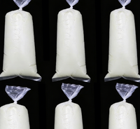 Sachets pour sucettes glacées, sachets jetables en plastique pour jus, smoothies et sucettes glacées maison