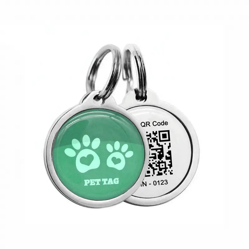 Traceur GPS pour animaux de compagnie Mini traceur étanche Anti-perte pour chien de compagnie chat RFID porte-clés collier accessoires