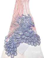 Tissu en dentelle à sequins brodés de fleurs jaunes de luxe, 5 yards, pour robe de mariée
