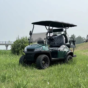 Golf classique avec véhicule <span class=keywords><strong>utilitaire</strong></span> adulte certifié haute vitesse - Product Image 1