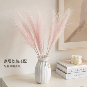 Yuan Nuo Feather <b>Grass</b> <b>Dried</b> Flower 60cm Soft Decor For Floral Arrangement - Product Image 2