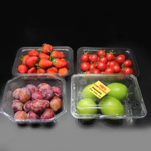 Wegwerp Biologisch Afbreekbaar Doorzichtig Transparant Pla Plastic Neem Clamshell Voedselverpakkingscontainer Met Deksel Weg Voor Salade