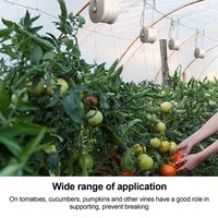 Crochet à rouleaux pour tomates avec cadre en fil métallique et ficelle de 30 mètres