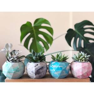 Pot en Béton Géométrique Bleu Océan Cactus Petit Pot de Fleur Ciment Bleu Ciel Jardinière Succulente - Product Image 1