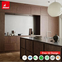 Armoire de cuisine Alland Nordic Atmosphere Clean Lines en acier inoxydable avec plan de travail en placage de noyer noir pour maison de ville d'architecte