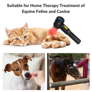 Diep Weefsel Klasse <span class=keywords><strong>4</strong></span> Fotobiomodulatie Lasertherapie Apparaat 808nm 650nm Golflengte Voor Huisdieren Pijn En Anti-Ontsteking - Product Image 5