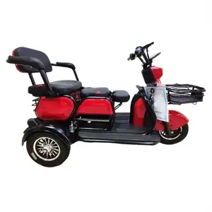 Simple 12V Trike Van Motorbike For The Passenger Adult