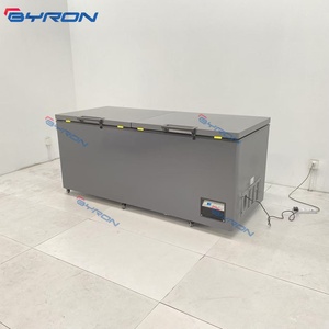 Congelador Horizontal de Doble Puerta con Aislamiento de Espuma, Gran Capacidad, Comercial y Doméstico, Directo de Fábrica - Product Image 6