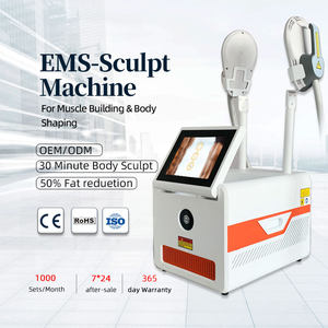プロ用ボディスカルプトポータブル電気刺激スリミングマシン2ハンドル筋肉EMS輪郭減量用 - Product Image 2