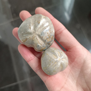 Hóa Thạch Nhím Biển Tự Nhiên 3-6 Cm Mẫu Vật Nhím Biển Pha Lê Trang Trí Để Sưu Tập Đá & Trang Trí Nhà Cửa - Product Image 5