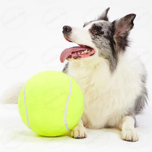 Özel Logo gıcırtılı köpek tenis topları dayanıklı Modern kauçuk Pet eğitim oyuncaklar çevre dostu sürdürülebilir tenis topu hediye - Product Image 4