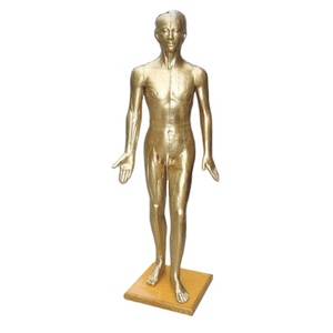 Antique <span class=keywords><strong>Bronze</strong></span> HD châm cứu con người mô hình y học cổ truyền Trung Quốc Bảo tàng trang trí huyệt rõ ràng - Product Image 2