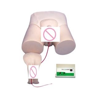 मूत्र केथीटेरिलाइजेशन मैनिकिन नैदानिक नर्सिंग ट्रेनर रोगी देखभाल शिक्षण फैंटम - Product Image 1