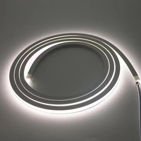 Tira LED neón silicona 12V/24V personalizable con tubo flexible