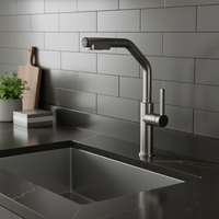 Robinet de cuisine à poignée unique en acier inoxydable chromé, design classique moderne, montage sur plan, douchette extractible pour hôtels