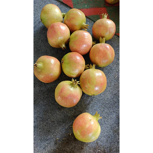 Semi <span class=keywords><strong>di</strong></span> <span class=keywords><strong>Melograno</strong></span> Rosso Rubino Tunisino Raccolto Fresco 2025, Grado 350g+, Arilmi Morbidi e Dolci, Succosi e Deliziosi, Alta Qualità, 15% Brix, Pronti all'Uso - Product Image 4