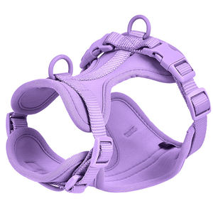 Collar de PVC para <span class=keywords><strong>Perro</strong></span>, Arnés de Poliéster Duradero, Productos para Hond Cane Animaux <span class=keywords><strong>Collier</strong></span> Chien Hunde, Accesorios para Mascotas, Correa - Product Image 4