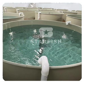 Bể cá trong nhà đa năng, chất liệu PP, mẫu mới 2025, bán buôn, bán chạy nhất, có thể tùy chỉnh - Product Image 3